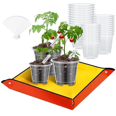 mizikuu Set van 30 transparante kweekpotten met plantenmat, 8,9 cm, 10,2 cm, 12,7 cm, ronde orchideeënpotten, transparant, met drainagegaten, voor zaden, zaailingen, planten mizikuu Set van 30 transparante kweekpotten met plantenmat, 8,9 cm, 10,2 cm, 12,7 cm, ronde orchideeënpotten, transparant, met drainagegaten, voor zaden, zaailingen, planten