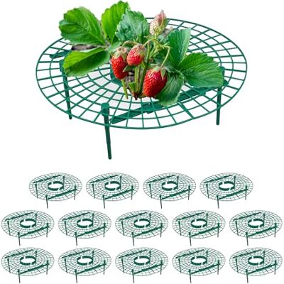 Relaxdays Aardbeienstandaard, 15 stuks, bescherming tegen rot, slakken, rooster voor aardbeien, kunststof, groen Relaxdays Aardbeienstandaard, 15 stuks, bescherming tegen rot, slakken, rooster voor aardbeien, kunststof, groen