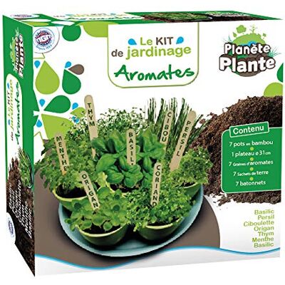 PLANÈTE PLANTE 7 biologisch afbreekbare bamboe potten en zaden om op dienblad te planten 170032-7 plantensoorten tuinset 9 cm vanaf 4 jaar PLANÈTE PLANTE 7 biologisch afbreekbare bamboe potten en zaden om op dienblad te planten 170032-7 plantensoorten tuinset 9 cm vanaf 4 jaar