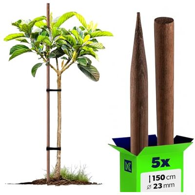 KADAX 5 stuks houten stokken, geïmpregneerd hout, 150 cm x 23 mm, voor planten, bomen, tomaten en struiken KADAX 5 stuks houten stokken, geïmpregneerd hout, 150 cm x 23 mm, voor planten, bomen, tomaten en struiken