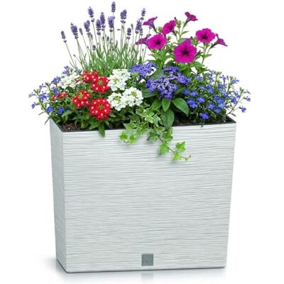 Prosperplast Bloempot met reservoir, FURU-collectie, 58 x 18 x 49,8 cm, inhoud 12 liter. Prosperplast Bloempot met reservoir, FURU-collectie, 58 x 18 x 49,8 cm, inhoud 12 liter.