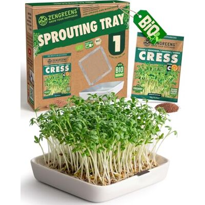 zengreens ® Biologische kiemschaal – 1 stuk – roosterkiemmer – inclusief: bak en zaden (kers) zengreens ® Biologische kiemschaal – 1 stuk – roosterkiemmer – inclusief: bak en zaden (kers)