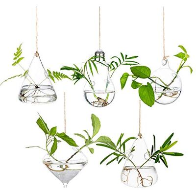 Glasseam Set van 5 grote hangende bloempotten van glas voor binnen en buiten met touwen voor huis, tuin, balkon Glasseam Set van 5 grote hangende bloempotten van glas voor binnen en buiten met touwen voor huis, tuin, balkon