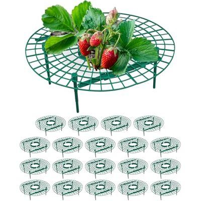 Relaxdays Aardbeienstandaard, 20 stuks, bescherming tegen rot, slakken, rooster voor aardbeien, kunststof, groen Relaxdays Aardbeienstandaard, 20 stuks, bescherming tegen rot, slakken, rooster voor aardbeien, kunststof, groen
