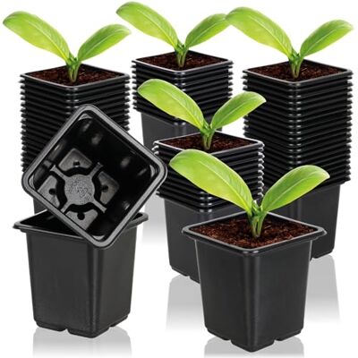 com-four ® 60 × kweekbakken voor planten bloempot voor het kweken van planten (60 stuks zaaipot 7,5 x 8 cm) com-four ® 60 × kweekbakken voor planten bloempot voor het kweken van planten (60 stuks zaaipot 7,5 x 8 cm)