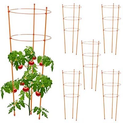 Relaxdays Set van 6 metalen en kunststof stokken hoogte 76 cm 3 verstelbare ringen Voor klimplanten Oranje Relaxdays Set van 6 metalen en kunststof stokken hoogte 76 cm 3 verstelbare ringen Voor klimplanten Oranje
