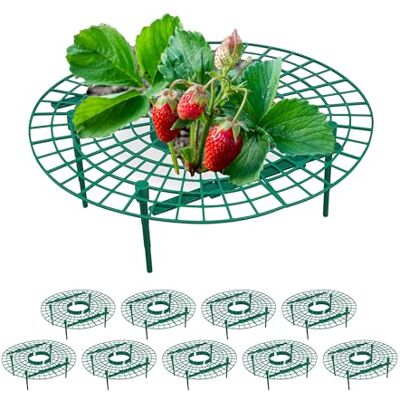 Relaxdays 10 stuks aardbeienrasp voor slakken en aardbeien, kunststof, tegen rot en schimmel, groen Relaxdays 10 stuks aardbeienrasp voor slakken en aardbeien, kunststof, tegen rot en schimmel, groen