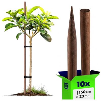 KADAX 10 stuks houten stokken, geïmpregneerd hout, 150 cm x 23 mm, voor planten, bomen, tomaten en struiken KADAX 10 stuks houten stokken, geïmpregneerd hout, 150 cm x 23 mm, voor planten, bomen, tomaten en struiken