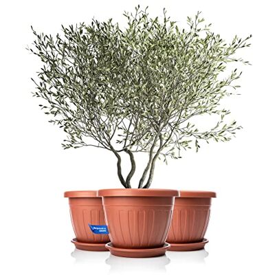 BigDean Set van 3 ronde bloempotten met onderzetter Ø 50 x H 38 cm terracotta weerbestendige bloempot UV-bestendige waterafvoer van onbreekbaar kunststof geschikt voor binnen en buiten Made in Europe BigDean Set van 3 ronde bloempotten met onderzetter Ø 50 x H 38 cm terracotta weerbestendige bloempot UV-bestendige waterafvoer van onbreekbaar kunststof geschikt voor binnen en buiten Made in Europe
