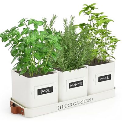 PERFNIQUE Bloempotten voor binnen en buiten met dienblad, boerderijtuin voor vensterbank, aromatische bloempotten met drainage (alleen bloempot), wit PERFNIQUE Bloempotten voor binnen en buiten met dienblad, boerderijtuin voor vensterbank, aromatische bloempotten met drainage (alleen bloempot), wit