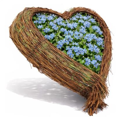 com-four ® Hartvormige bloembak, decoratieve rieten mand, plantenmand met folie binnenin, om te planten of als decoratieve plantenbak, 1 stuk, 47 x 50 cm, groen jardinière décorative ou cache pot naturel com-four ® Hartvormige bloembak, decoratieve rieten mand, plantenmand met folie binnenin, om te planten of als decoratieve plantenbak, 1 stuk, 47 x 50 cm, groen jardinière décorative ou cache pot naturel