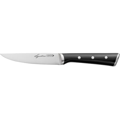 Lagostina Iceforce multifunctioneel mes 11 cm van roestvrij staal met gekoeld lemmet, keukenmes, ideaal voor het snijden van alle soorten ingrediënten, corrosiebestendig Lagostina Iceforce multifunctioneel mes 11 cm van roestvrij staal met gekoeld lemmet, keukenmes, ideaal voor het snijden van alle soorten ingrediënten, corrosiebestendig