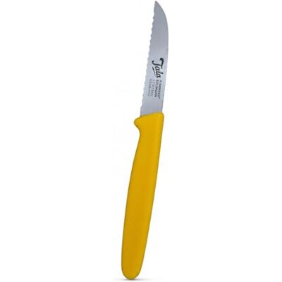Tala R. Herder Groentemes, gekarteld, 19,5 cm, roestvrij staal, geel Microgetand lemmet voor tomaten en fruit, lichte ergonomische handgreep, vaatwasmachinebestendig, hoge precisie met de hand Tala R. Herder Groentemes, gekarteld, 19,5 cm, roestvrij staal, geel Microgetand lemmet voor tomaten en fruit, lichte ergonomische handgreep, vaatwasmachinebestendig, hoge precisie met de hand