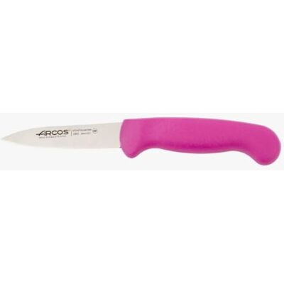 Arcos Serie 2900 schilmes, nitrum roestvrij stalen lemmet 80 mm, handvat polypropyleen, kleur paars Arcos Serie 2900 schilmes, nitrum roestvrij stalen lemmet 80 mm, handvat polypropyleen, kleur paars
