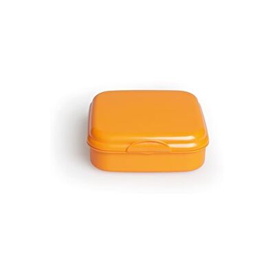 Excelsa Take Away Broodtrommel van polypropyleen, 15 x 15 x 5 cm, oranje Excelsa Take Away Broodtrommel van polypropyleen, 15 x 15 x 5 cm, oranje