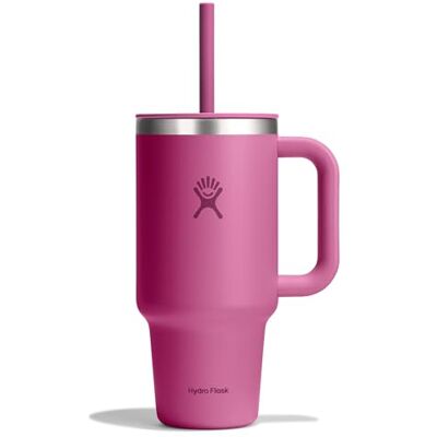 Hydro Flask Travel Tumbler 946 ml (32 oz) met afsluitbaar geperst rietjesdeksel Roestvrij staal Dubbelwandige vacuümisolatie Spatwaterdicht deksel Reef Hydro Flask Travel Tumbler 946 ml (32 oz) met afsluitbaar geperst rietjesdeksel Roestvrij staal Dubbelwandige vacuümisolatie Spatwaterdicht deksel Reef