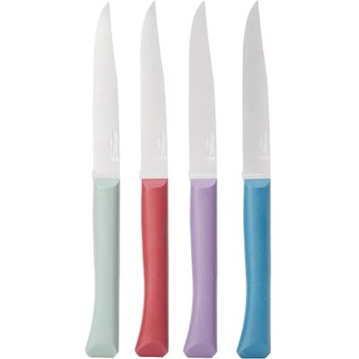 OPINEL Set van 4 tafelmessen Bon Appétit+ Glam – lemmet van roestvrij staal – comfortabele handgreep – gemaakt in Frankrijk – eendenblauw, paars, salie, granaat OPINEL Set van 4 tafelmessen Bon Appétit+ Glam – lemmet van roestvrij staal – comfortabele handgreep – gemaakt in Frankrijk – eendenblauw, paars, salie, granaat