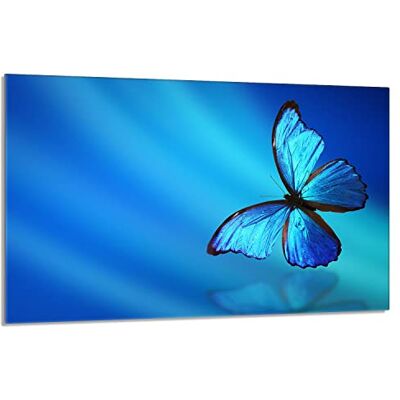 DarHaus Fornuis afdekplaat 80 x 52 cm 1 stuk fornuisafdekplaat spatbescherming snijplank vlinder blauw DarHaus Fornuis afdekplaat 80 x 52 cm 1 stuk fornuisafdekplaat spatbescherming snijplank vlinder blauw