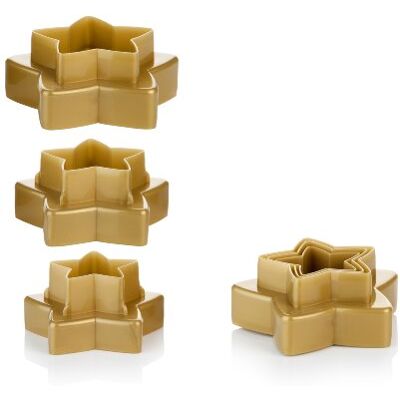 Tescoma Uitsteekvorm van goudkleurig kunststof, 20 x 13 x 4,5 cm Tescoma Uitsteekvorm van goudkleurig kunststof, 20 x 13 x 4,5 cm