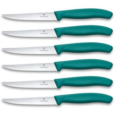 Victorinox Swiss Classic Steak- en pizzamesset voor professionals, 6-delig, tafelmessen, getand, scherp, 11 cm, stevige kunststof handgrepen, groen Victorinox Swiss Classic Steak- en pizzamesset voor professionals, 6-delig, tafelmessen, getand, scherp, 11 cm, stevige kunststof handgrepen, groen