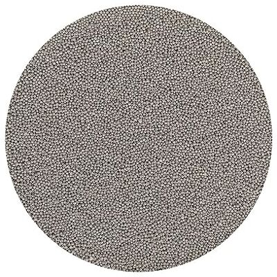 Brand New Cake BrandNewCake® Zilverzaden, 80 g, eetbare decoraties, glitter voor taarten, gebakvulling Brand New Cake BrandNewCake® Zilverzaden, 80 g, eetbare decoraties, glitter voor taarten, gebakvulling
