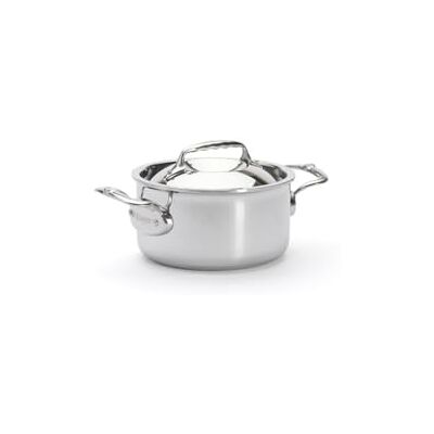 DE BUYER Affinity kookpan met deksel, 16 cm, 3742.16, zilver Gemaakt in Frankrijk, snelle temperatuurmontage, roestvrij staal 18/10, voor alle warmtebronnen + oven DE BUYER Affinity kookpan met deksel, 16 cm, 3742.16, zilver Gemaakt in Frankrijk, snelle temperatuurmontage, roestvrij staal 18/10, voor alle warmtebronnen + oven