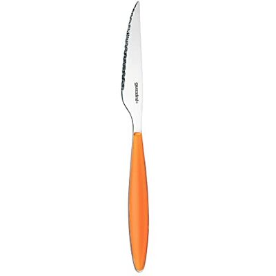 Guzzini Fratelli Feeling, steakmes, ABS SAN roestvrij staal AISI 420 Guzzini Fratelli Feeling, steakmes, ABS SAN roestvrij staal AISI 420