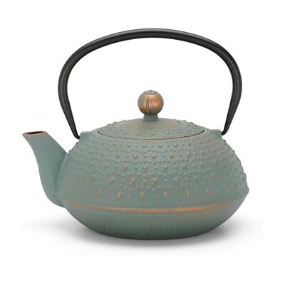 Bredemeijer Kleine gietijzeren theepot 0,9 liter Inductie Aziatisch blauw Met handvat en theefilter van roestvrij staal Ideaal voor losse thee Bredemeijer Kleine gietijzeren theepot 0,9 liter Inductie Aziatisch blauw Met handvat en theefilter van roestvrij staal Ideaal voor losse thee