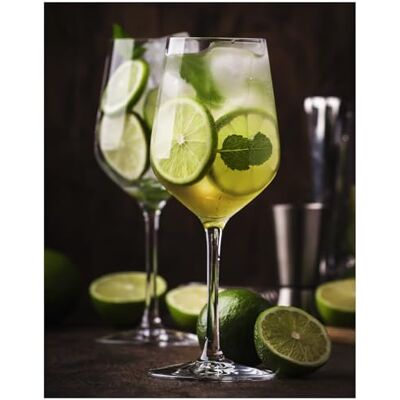 Topkapi 250.905 Gin Momento Tonic Gin glazen, ballon uit de serie Bar & Lounge, 630 ml, XL, 6 stuks Topkapi 250.905 Gin Momento Tonic Gin glazen, ballon uit de serie Bar & Lounge, 630 ml, XL, 6 stuks