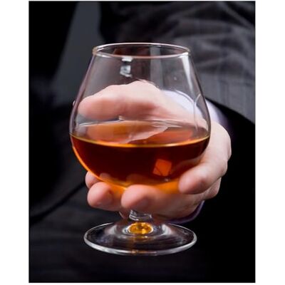 Topkapi 44525 Set van 6 cognacglazen, klein, 250 ml, vaatwasmachinebestendig, elegant en robuust Topkapi 44525 Set van 6 cognacglazen, klein, 250 ml, vaatwasmachinebestendig, elegant en robuust