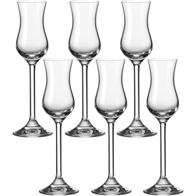 LEONARDO HOME Leonardo Daily 35237 Set van 6 glazen, Grappa, 100 ml LEONARDO HOME Leonardo Daily 35237 Set van 6 glazen, Grappa, 100 ml