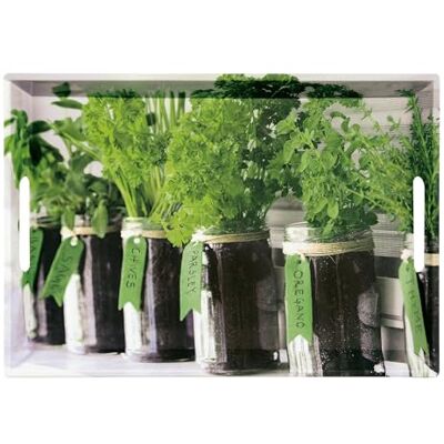 Kesper Herbs 77334 dienblad, 50 x 35 x 4,5 cm Kesper Herbs 77334 dienblad, 50 x 35 x 4,5 cm