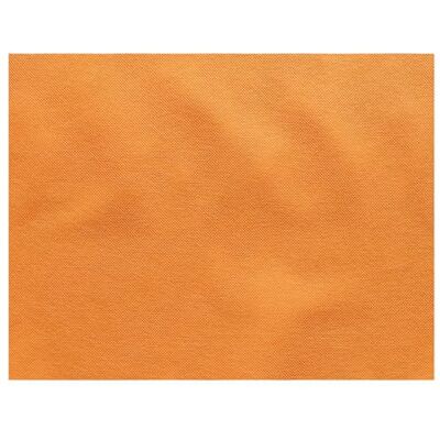 Garcia de Pou Placemats "Spundbond" 60 G/M2 30 x 40 cm Oranje Pp 200 stuks Garcia de Pou Placemats "Spundbond" 60 G/M2 30 x 40 cm Oranje Pp 200 stuks