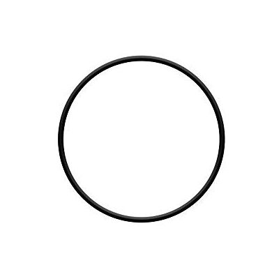 sera O-ring voor pompkamer PP 3000/6000/9000 sera O-ring voor pompkamer PP 3000/6000/9000