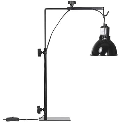 Pawhut Verwarmde lamphouder voor reptielen, in hoogte en breedte verstelbaar, verwarmingslamp voor amfibieën, hagedissen, schildpadden, gekko, stalen voet, 32 x 9 x 67 cm, zwart Pawhut Verwarmde lamphouder voor reptielen, in hoogte en breedte verstelbaar, verwarmingslamp voor amfibieën, hagedissen, schildpadden, gekko, stalen voet, 32 x 9 x 67 cm, zwart
