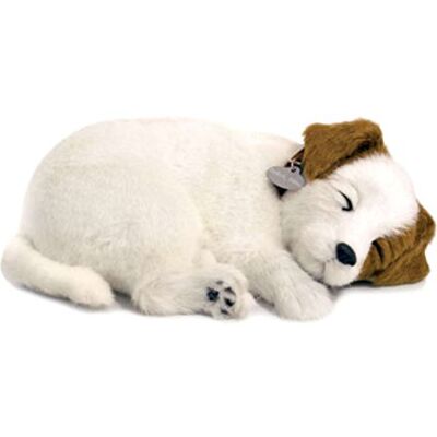 Perfect Petzzz Plenty Gifts Soft Jack Russell, 96347, universeel, Eén maat Perfect Petzzz Plenty Gifts Soft Jack Russell, 96347, universeel, Eén maat