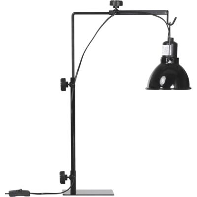 Pawhut Verwarmingslamphouder voor reptielen, verstelbaar, 32 x 9 x 67 cm Verwarmingslamp voor amfibieën, hagedissen, schildpadden, gekkos, stalen voet Pawhut Verwarmingslamphouder voor reptielen, verstelbaar, 32 x 9 x 67 cm Verwarmingslamp voor amfibieën, hagedissen, schildpadden, gekkos, stalen voet