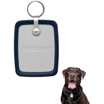PetSafe Smart Door Key RFID-sleutel voor huisdieren – gepersonaliseerde toegang, veilige ingang, compatibiliteit met app, groot PetSafe Smart Door Key RFID-sleutel voor huisdieren – gepersonaliseerde toegang, veilige ingang, compatibiliteit met app, groot