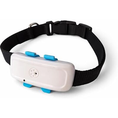 TK STAR TKSTAR TK911 4G LTE GPS-halsband voor honden, katten, dieren, tracker, waterdichte batterij, 700 mAh, slechts 41 g, live tracking zonder contract TK STAR TKSTAR TK911 4G LTE GPS-halsband voor honden, katten, dieren, tracker, waterdichte batterij, 700 mAh, slechts 41 g, live tracking zonder contract