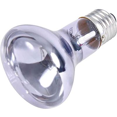 TRIXIE Neodymium spotlamp 63 × 100 mm rood 75 W TRIXIE Neodymium spotlamp 63 × 100 mm rood 75 W