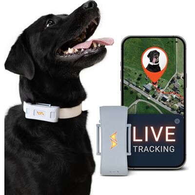 PAJ GPS PAJ Tracker voor honden 4G Wegloopalarmen Incl. 3 Maanden Premium Abonnement + Wereldwijde live tracking Tot 10 dagen batterijbesparingszone Hond terugroepen -Past op elke halsband Grijs PAJ GPS PAJ Tracker voor honden 4G Wegloopalarmen Incl. 3 Maanden Premium Abonnement + Wereldwijde live tracking Tot 10 dagen batterijbesparingszone Hond terugroepen -Past op elke halsband Grijs