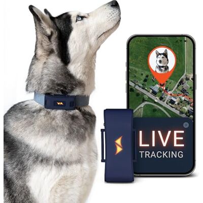 PAJ GPS PAJ Tracker voor honden 4G Wegloopalarmen Incl. 3 Maanden Premium Abonnement + Wereldwijde live tracking Tot 10 dagen batterijbesparingszone Hond terugroepen -Past op elke halsband Blauw PAJ GPS PAJ Tracker voor honden 4G Wegloopalarmen Incl. 3 Maanden Premium Abonnement + Wereldwijde live tracking Tot 10 dagen batterijbesparingszone Hond terugroepen -Past op elke halsband Blauw