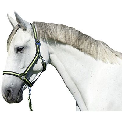 Covalliero Kerbl Hippo hoofdhalsband, uniseks, antraciet/citroen, maat 3 Covalliero Kerbl Hippo hoofdhalsband, uniseks, antraciet/citroen, maat 3