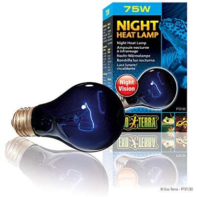 Exo Terra Night Heat 75 W gloeilamp Exo Terra Night Heat 75 W gloeilamp