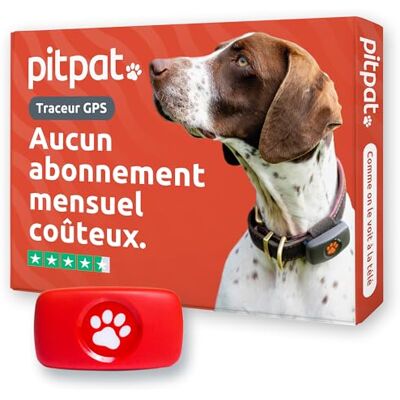 PitPat GPS-tracker voor honden, alle rassen, kan aan de halsband worden 100% waterdicht, alle halsbanden, alle rassen, zonder abonnement, onbeperkt bereik, intelligente activiteitentracking PitPat GPS-tracker voor honden, alle rassen, kan aan de halsband worden 100% waterdicht, alle halsbanden, alle rassen, zonder abonnement, onbeperkt bereik, intelligente activiteitentracking