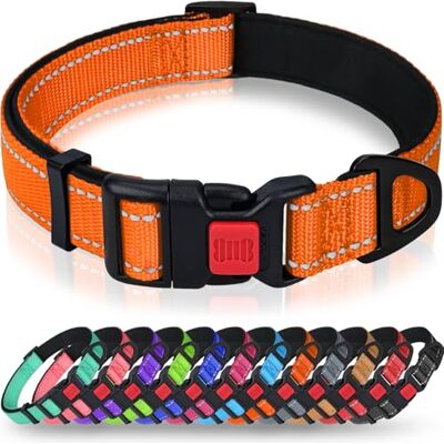 Taglory Reflecterende nylon halsband met veiligheidsgesp, verstelbare halsbanden voor huisdieren met zachte neopreen vulling voor puppyhonden, XS, oranje Taglory Reflecterende nylon halsband met veiligheidsgesp, verstelbare halsbanden voor huisdieren met zachte neopreen vulling voor puppyhonden, XS, oranje