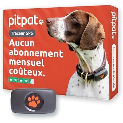 PitPat GPS-tracker voor honden, alle rassen, kan aan de halsband worden 100% waterdicht, alle halsbanden, alle rassen, zonder abonnement, onbeperkt bereik, intelligente activiteitentracking PitPat GPS-tracker voor honden, alle rassen, kan aan de halsband worden 100% waterdicht, alle halsbanden, alle rassen, zonder abonnement, onbeperkt bereik, intelligente activiteitentracking