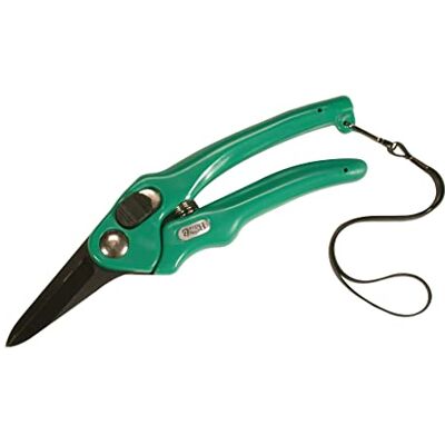 Corona Burgon & Ball Footrot Supersharp Schaar, uniseks, transparant Corona Burgon & Ball Footrot Supersharp Schaar, uniseks, transparant