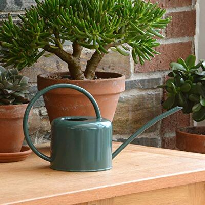 CKB LTD Kleine gieter voor binnen, 1,1 l, van verzinkt staal met poedercoating in krijtkleur, voor kamerplanten, modern design, van metaal met smalle uitloop en hoge handgreep (groen) CKB LTD Kleine gieter voor binnen, 1,1 l, van verzinkt staal met poedercoating in krijtkleur, voor kamerplanten, modern design, van metaal met smalle uitloop en hoge handgreep (groen)