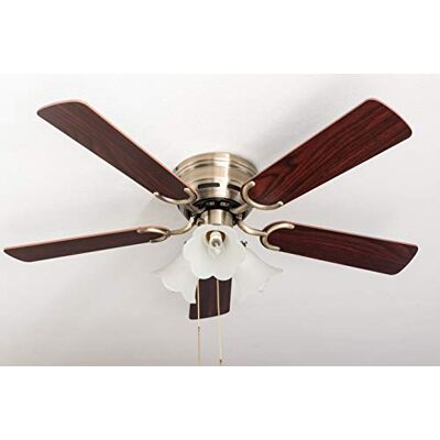Pepeo 105420192 Plafondventilator, metaal, 44 W, rozenhout/donker walnoot, 105 cm Pepeo 105420192 Plafondventilator, metaal, 44 W, rozenhout/donker walnoot, 105 cm
